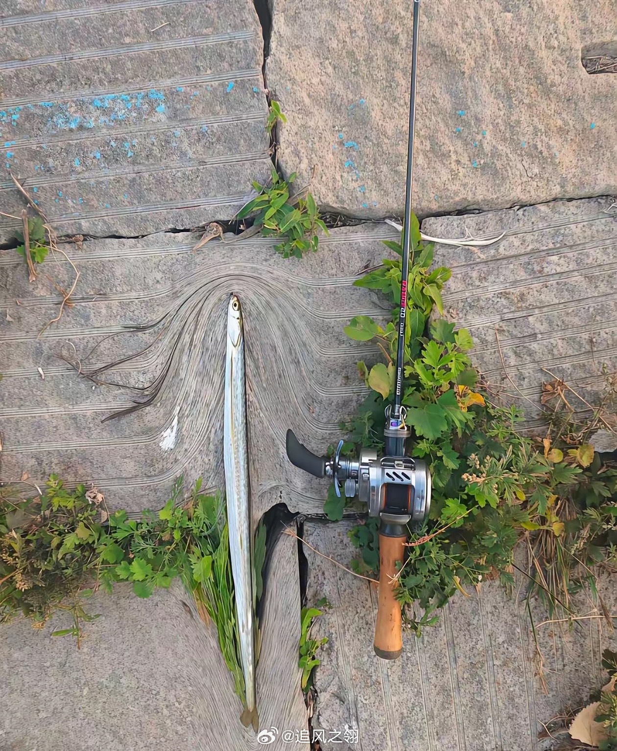 🎣钓鱼佬今天的收获[偷笑] ​​​