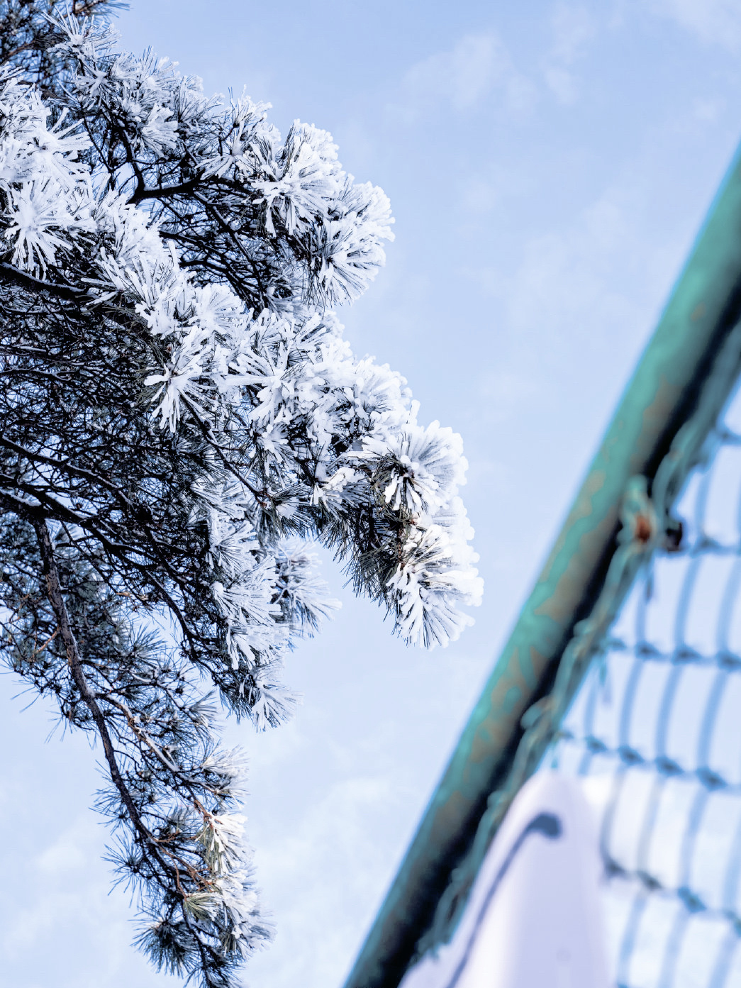 这个冬天这么玩 冬天除了去北方可滑雪🏂🏻，还可以去临安大明湖畔万松岭大明山滑