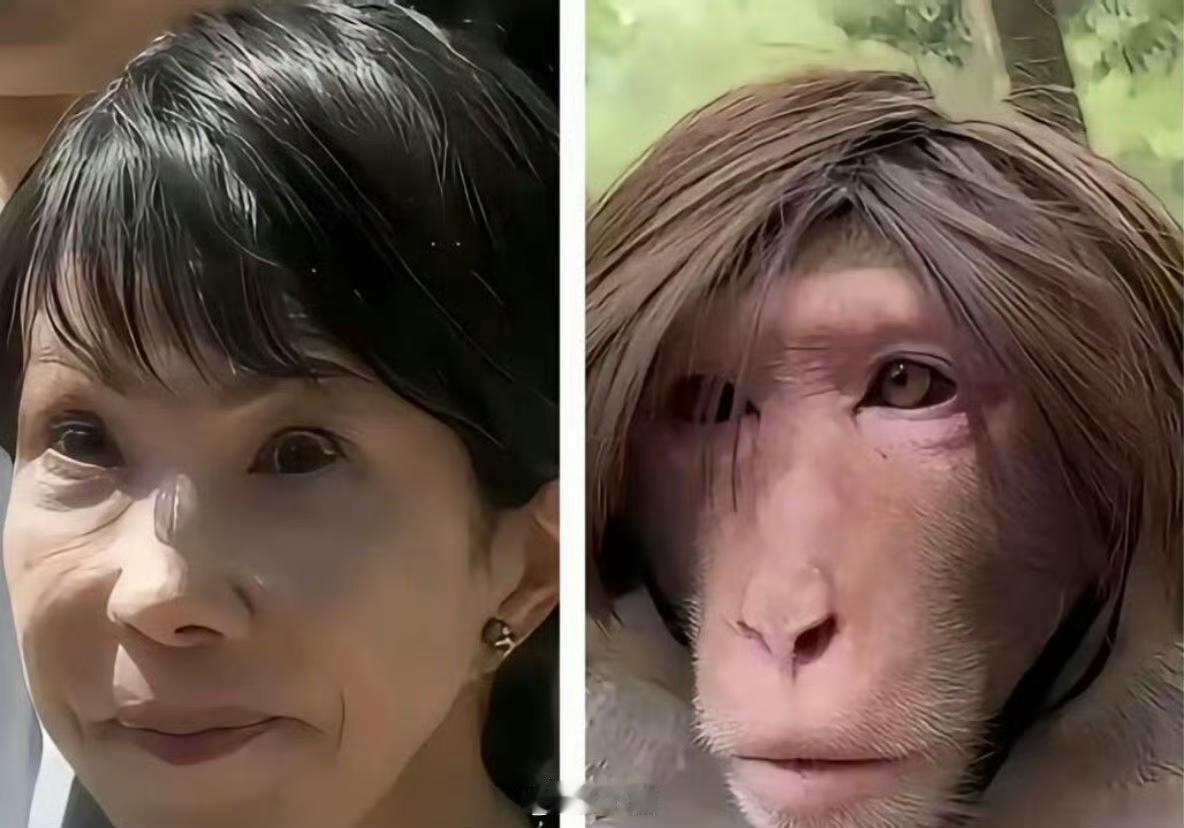 太像了，这是高市早苗失散多年的兄弟吗？ ​​​