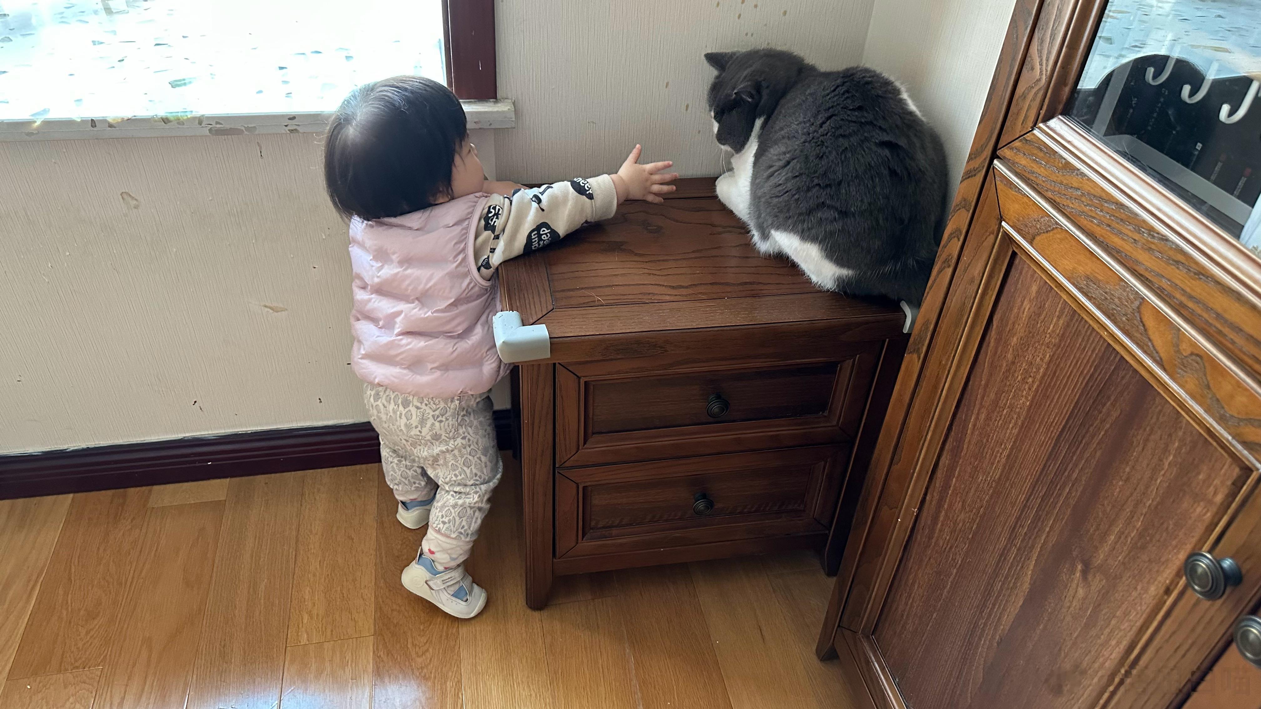 #糖妞家的日常[超话]##糖妞家的小多多##汤圆仔# 哥哥姐姐们最近挺辛苦[允悲