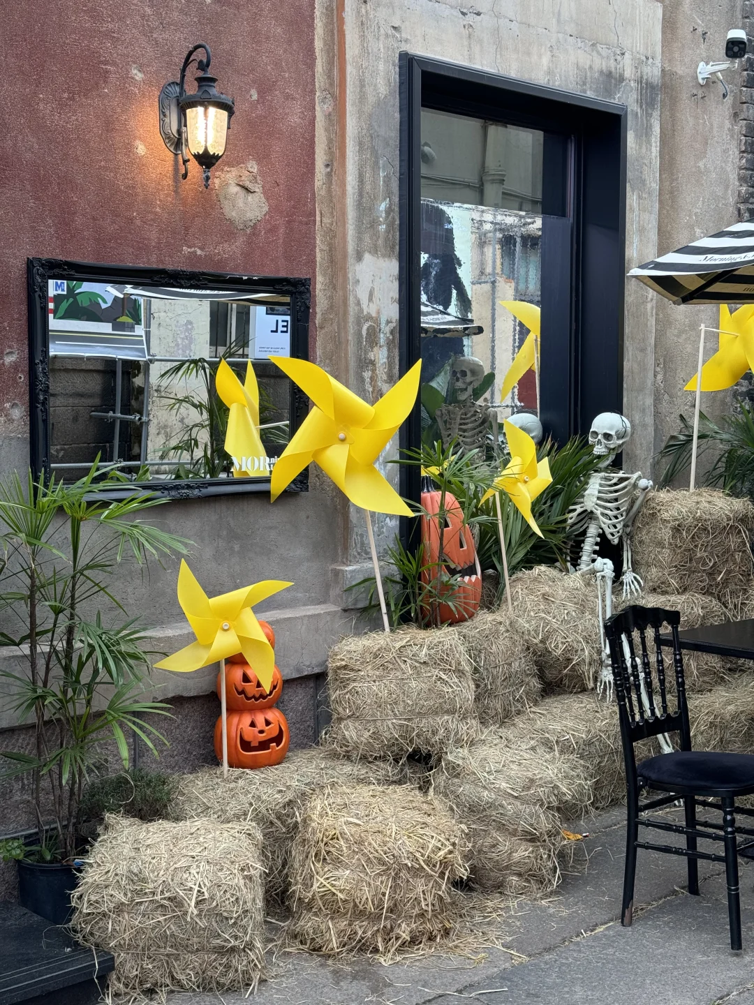 青岛这条街好好拍！！全是🎃万圣节氛围了