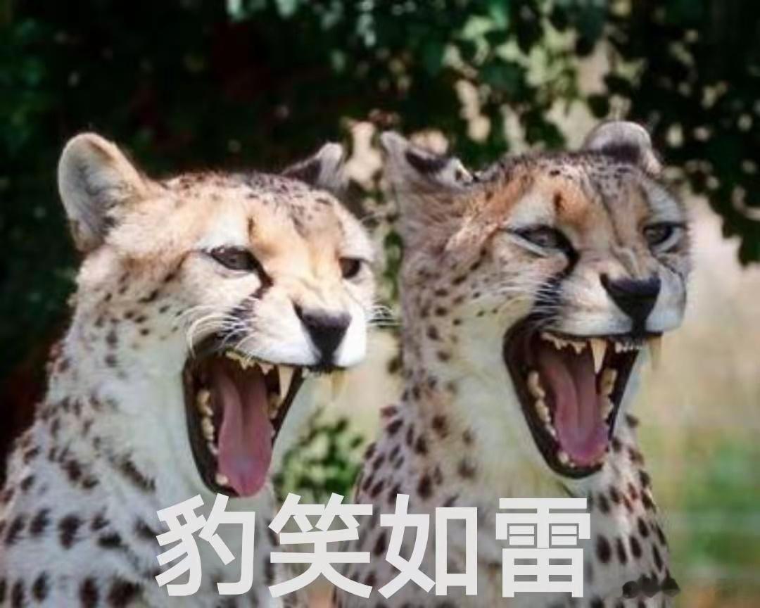 奚梦瑶何猷君请柬女方名字在前还真是网友看好的都分了，唱衰的都修成正果了