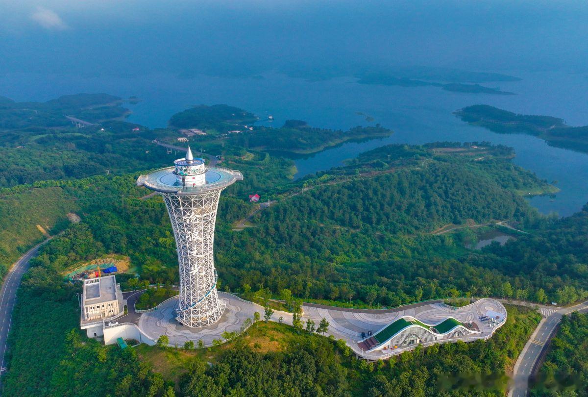 股权激励避坑：交钱、扣钱、退钱，处处是雷！做股权激励收钱、扣钱、退钱的性质界定，