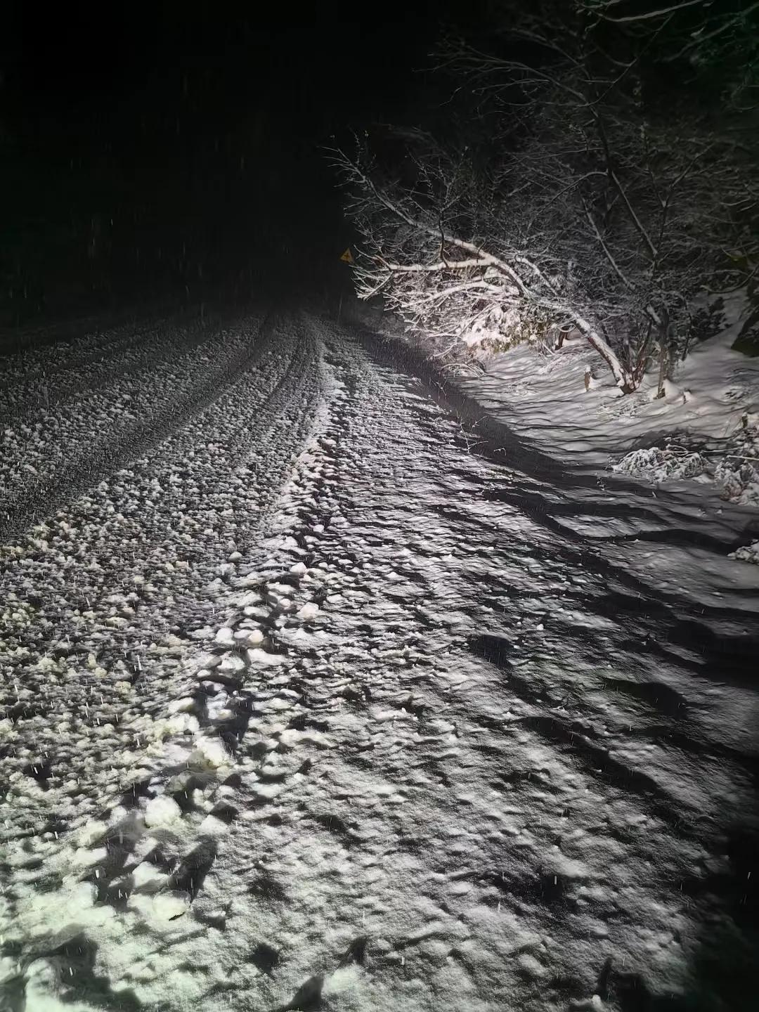 瑞雪兆丰年，每次看到雪都觉得新的一年充满希望。坐高铁回家前一天，河南下雪了，那场