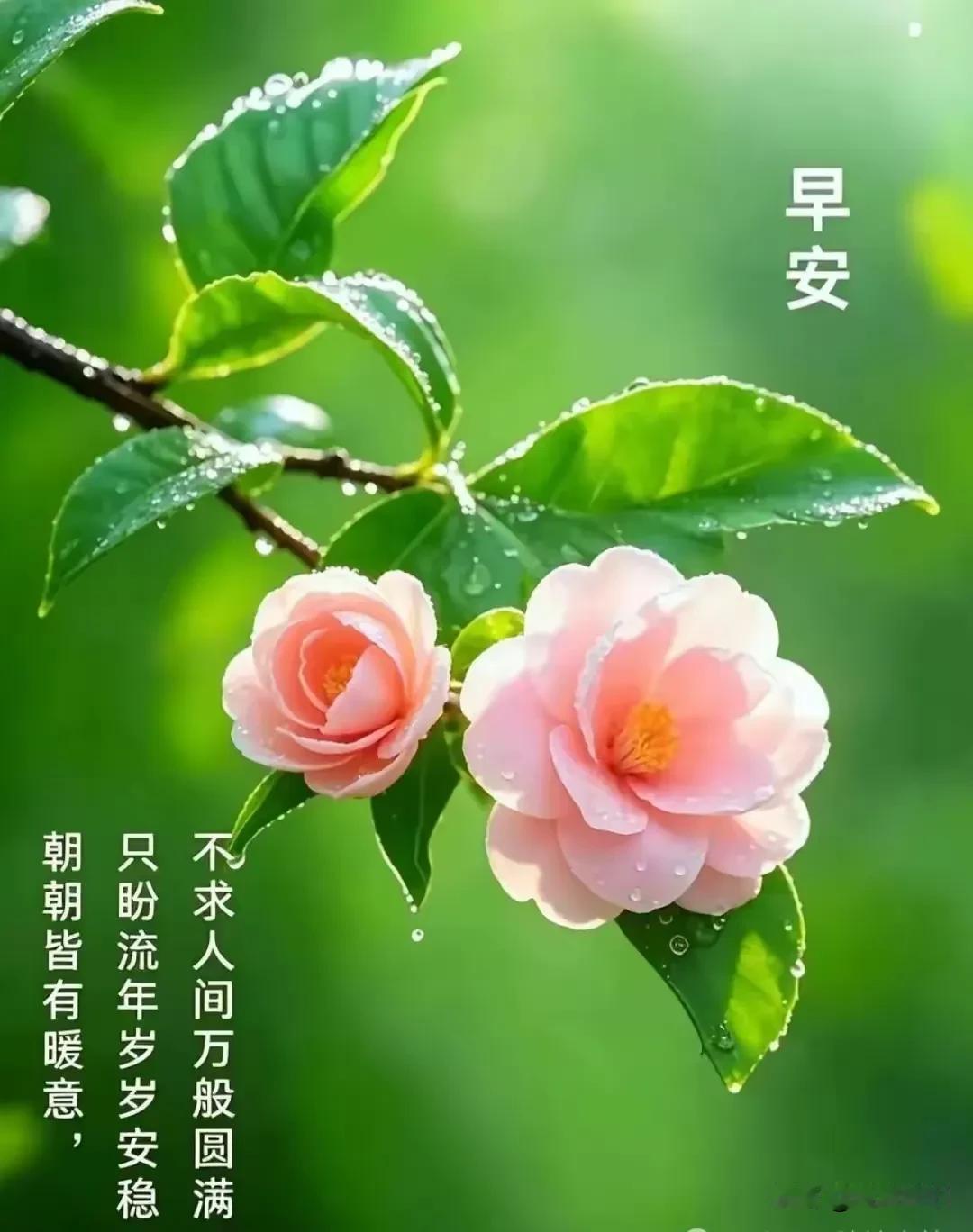 《一剪梅·晨寄知交》

晓日初升迎曙光。
晨起相逢，意暖心房。
遥书片语赠同窗，