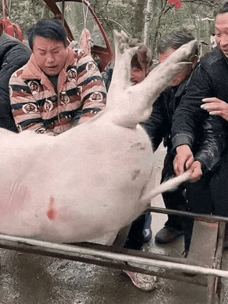 这味道应该很大