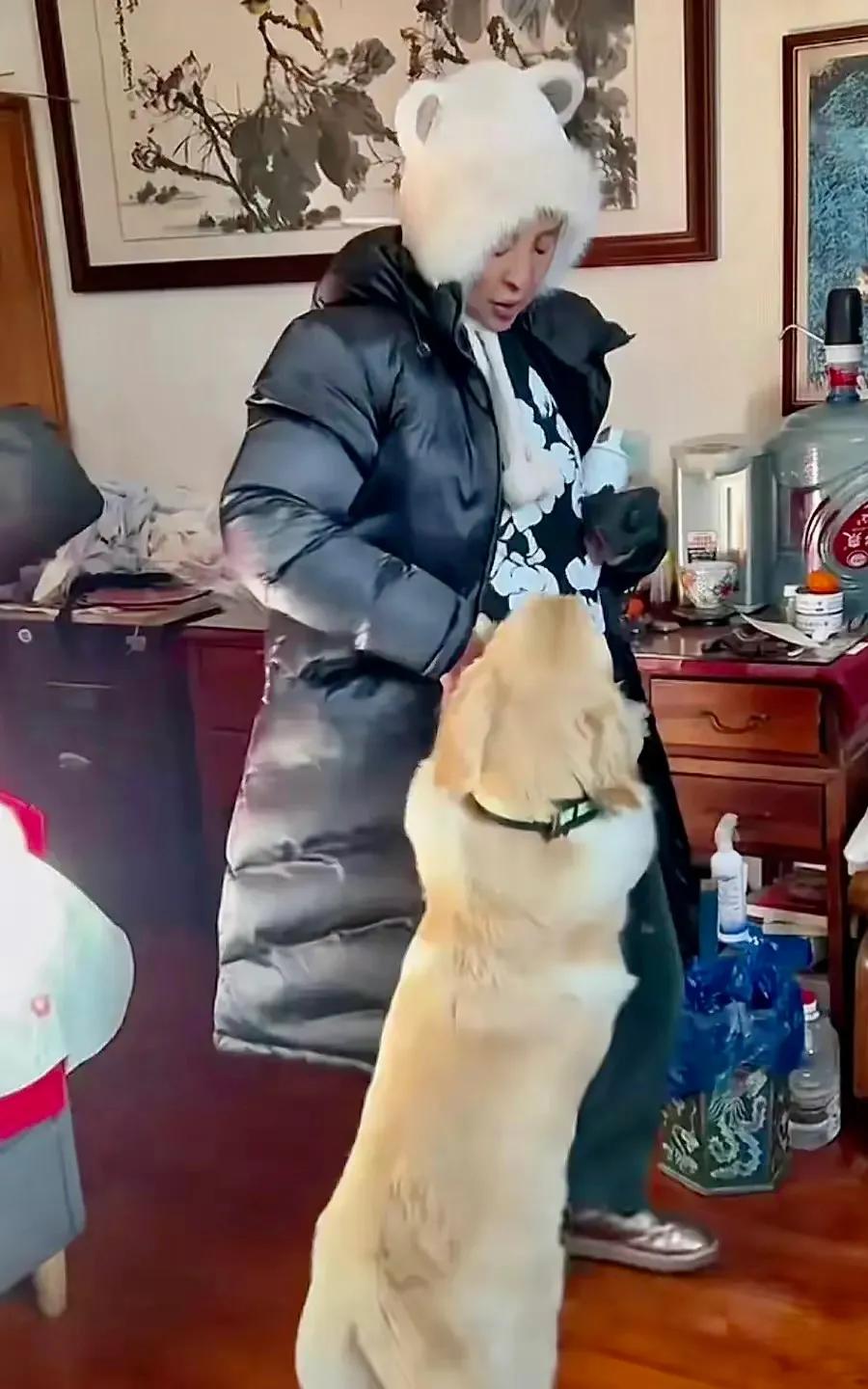 近日周海媚的爱犬墩墩，被演员李勤勤收养了……
李老师是位很有爱心的人，感谢李老师