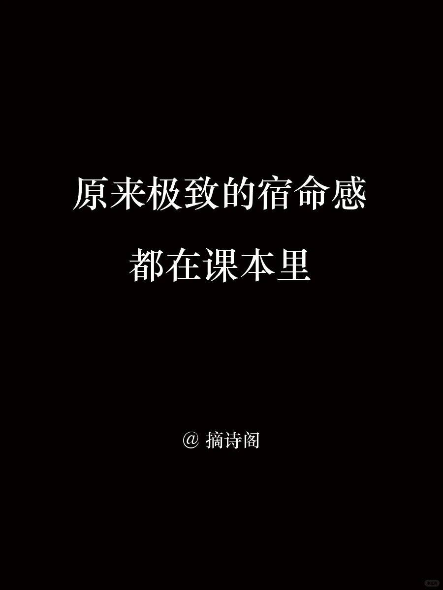 原来极致的宿命感都在课本里