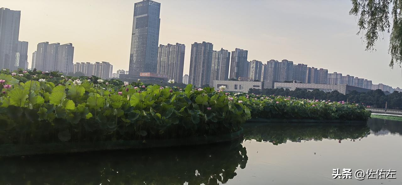 面对年迈的父母，你们会提前考虑他们的身后事吗？会和他们沟通身后事吗？
我爸妈都已