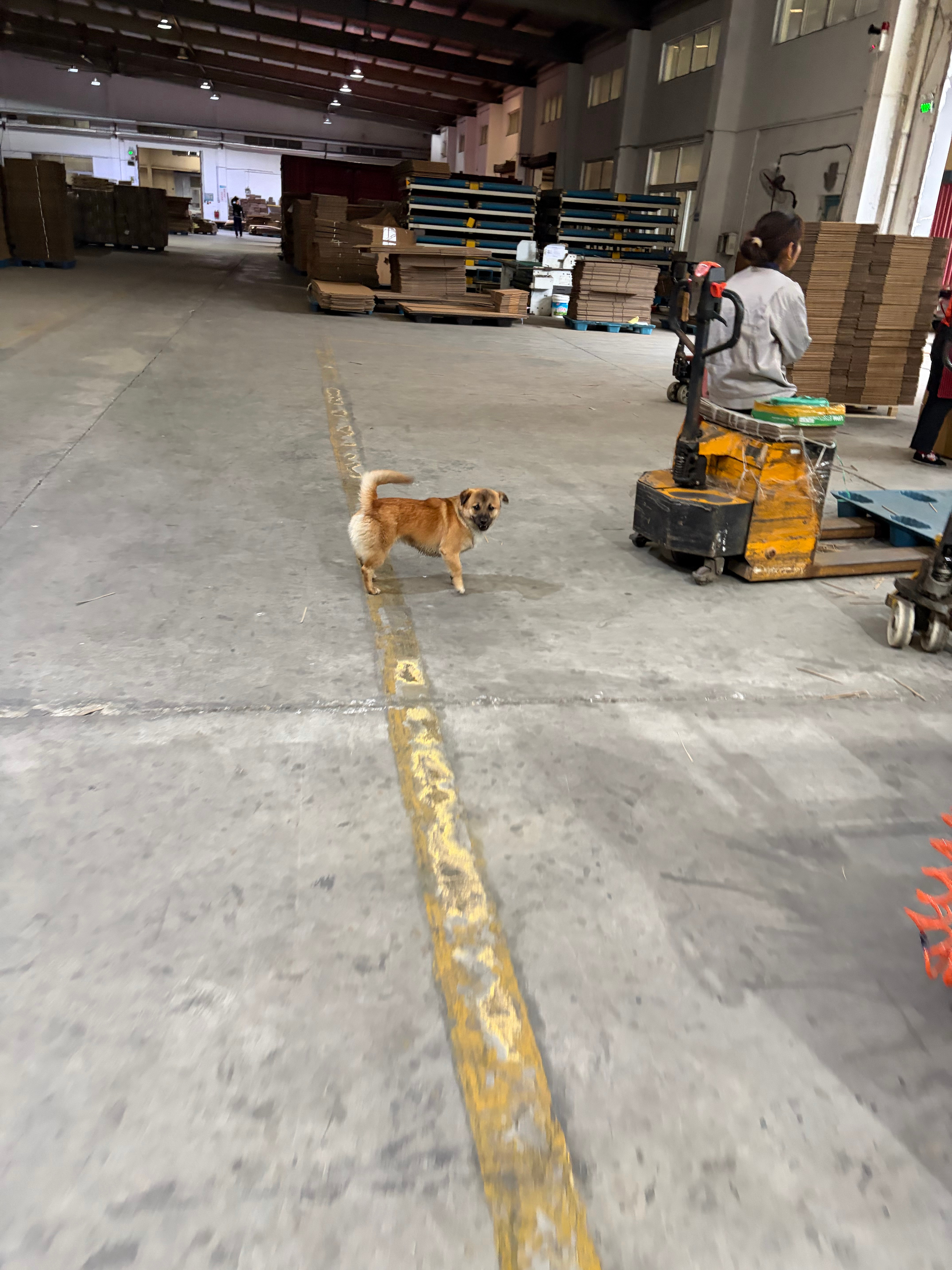 乡镇a9的舅妈，是我见过最最好的长辈之一，永远都是笑意盈盈。有钱开心，还是开心了