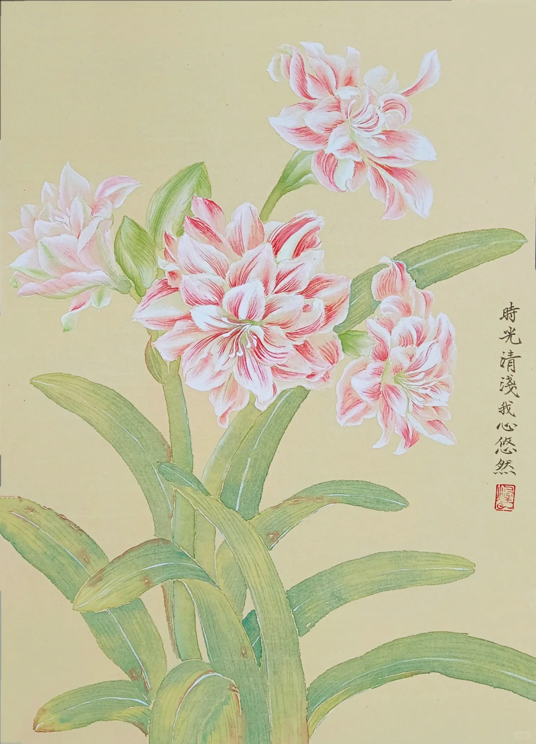 没骨画‖写生朱顶红