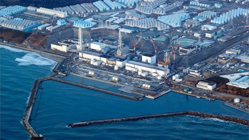 近期，日本福岛核污染水新一轮排海作业再次启动，这也是自2023年8月以来第20次