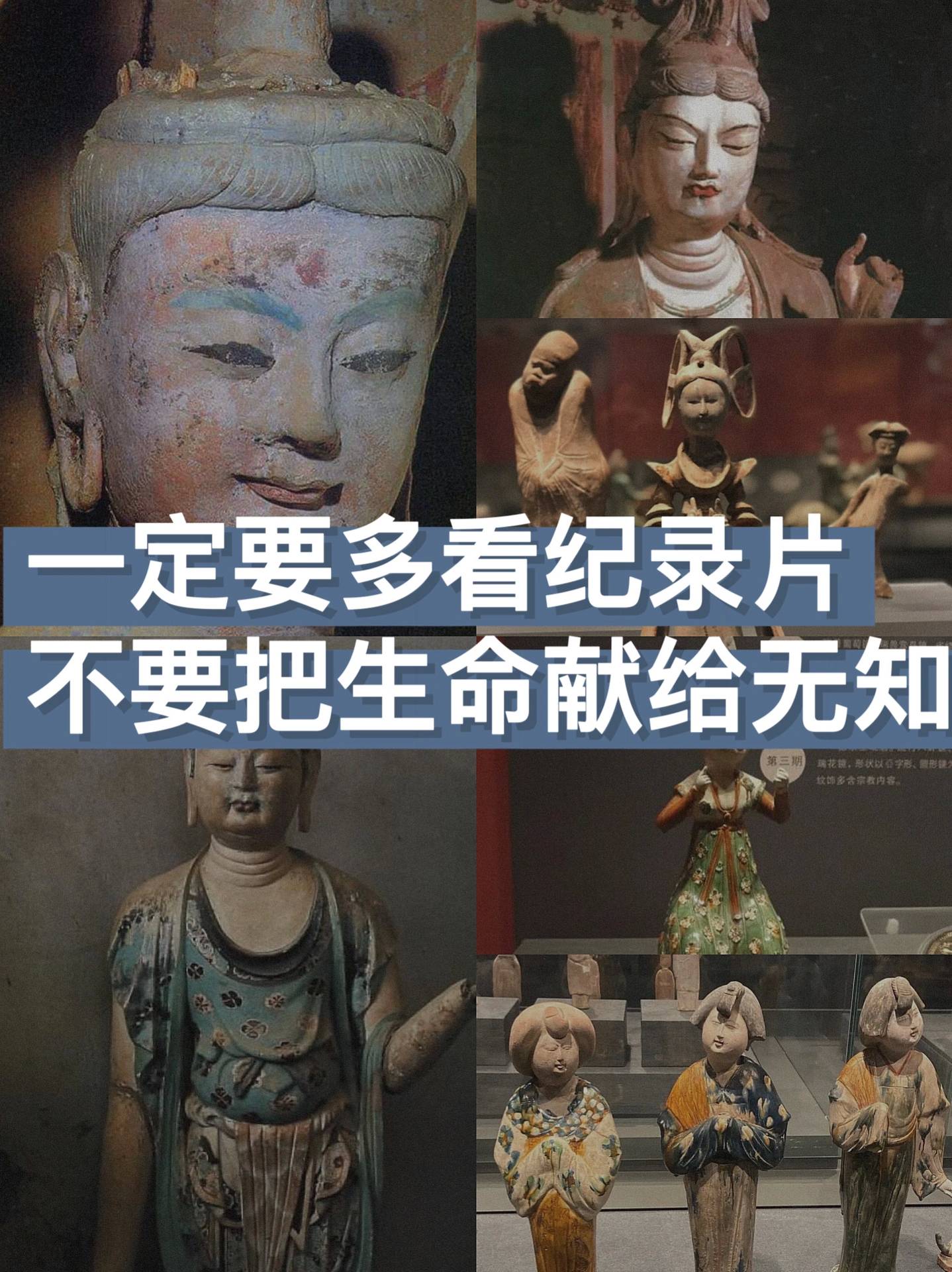 160部神级纪录片‼️分类整理 ​​​