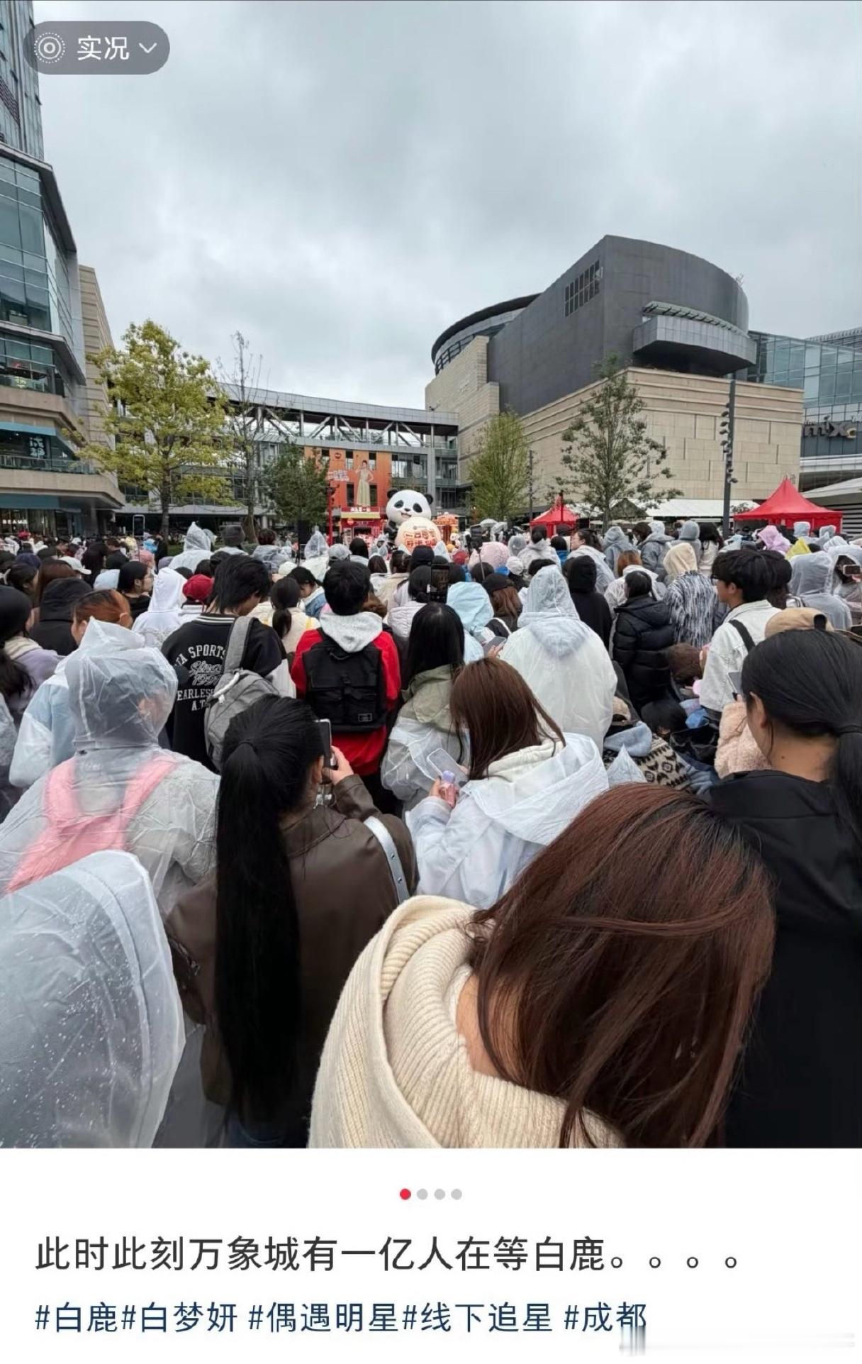 白鹿今天线下活动人气[惊恐] ​​​工作日+下雨天都这么多人 ​​​