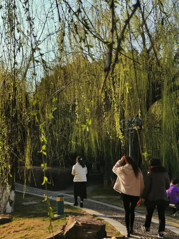 上联：秋乘落叶去，求下联：…？春随暖风回㇏