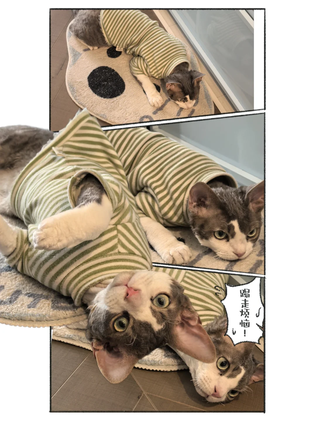 人你好！小猫过年前不用上班