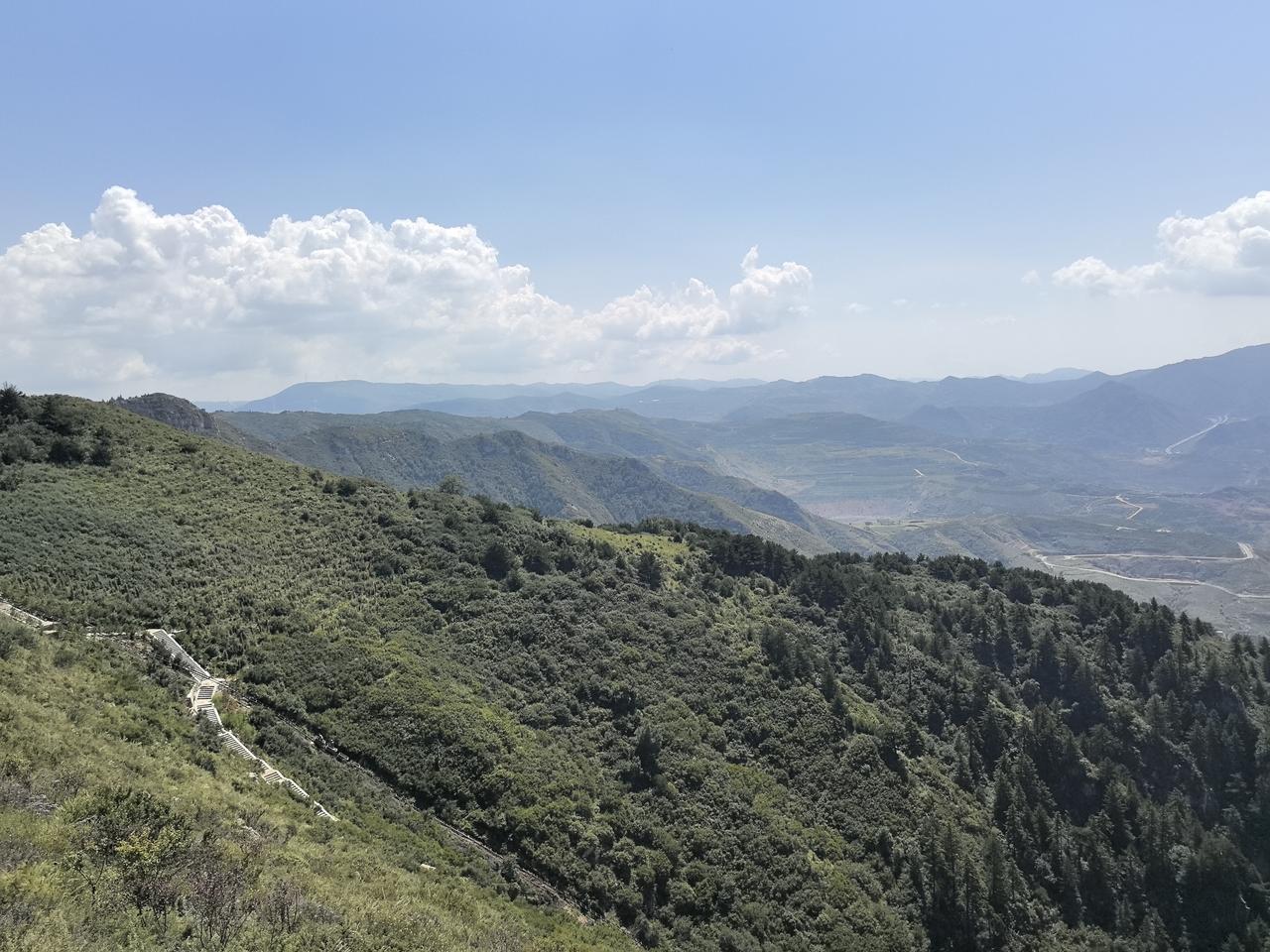 穆杰塔巴会不会再次遭遇暗杀？我觉得伊朗不能赌美国和以色列不会这么干，从美国和以色