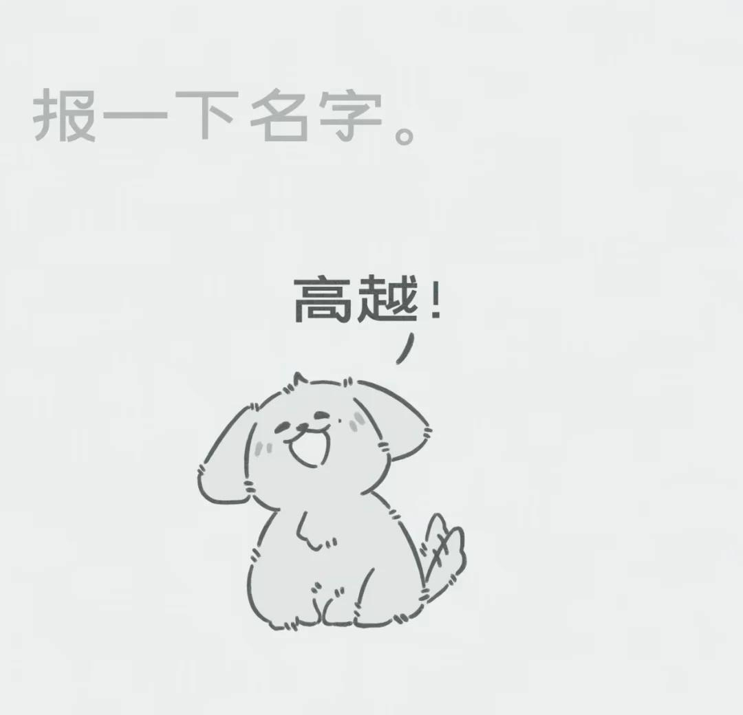 好银！双高胎 可爱