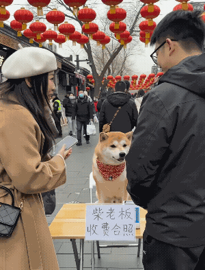 不给钱没笑脸，一给钱，笑脸就出来了，而且歪头摆姿势，的确让人喜欢。
不过，围脖都