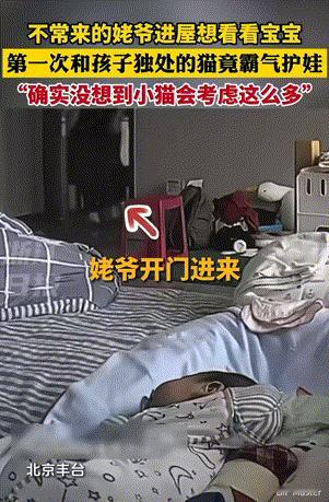 万物皆有灵性！北京，女子下楼拿快递的功夫，猫咪和孩子第一次独处。想到孩子还小确实