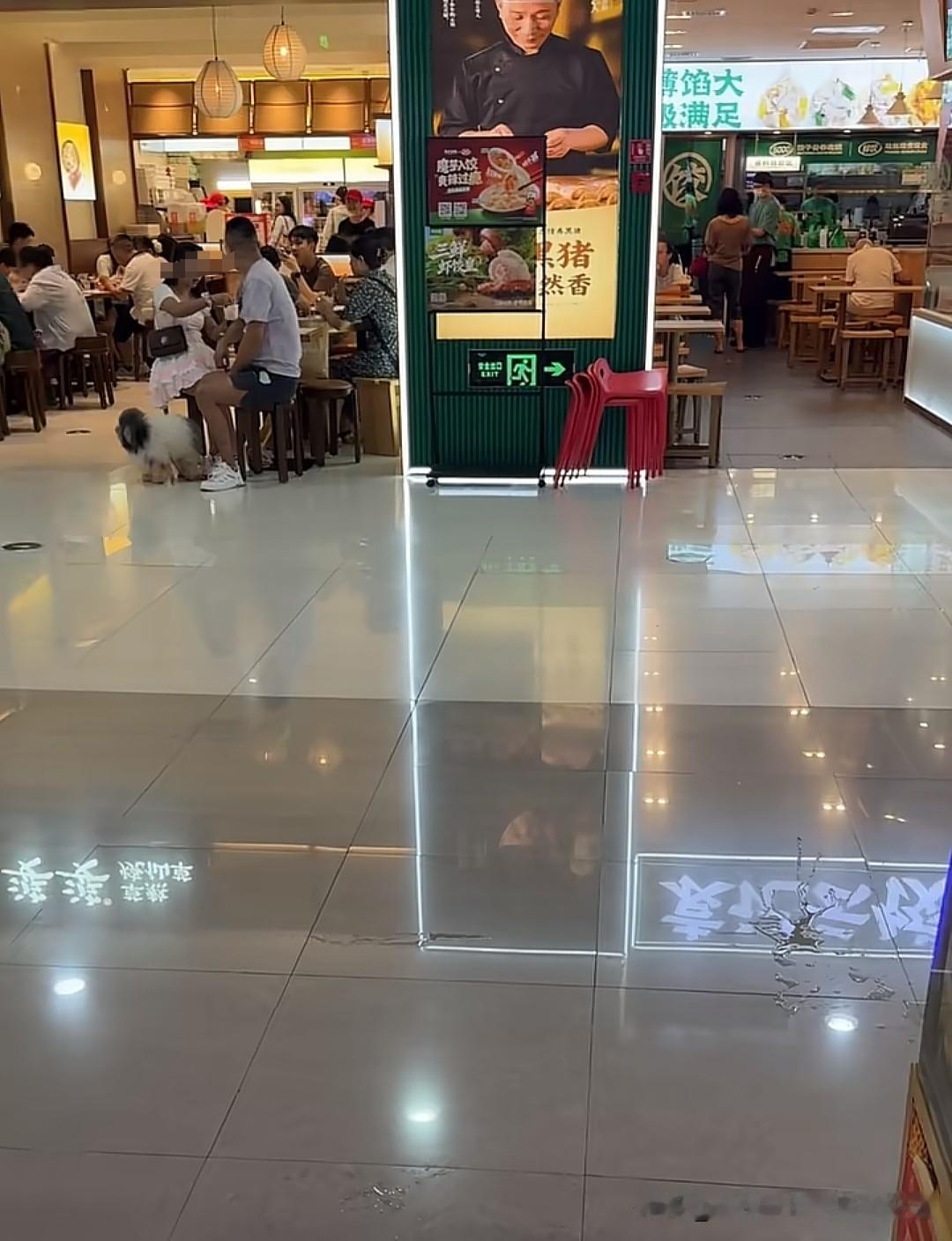 有网友在福建厦门sm城市广场一期拍到了狗进店的一幕，有人说狗没进店，不必大惊小怪