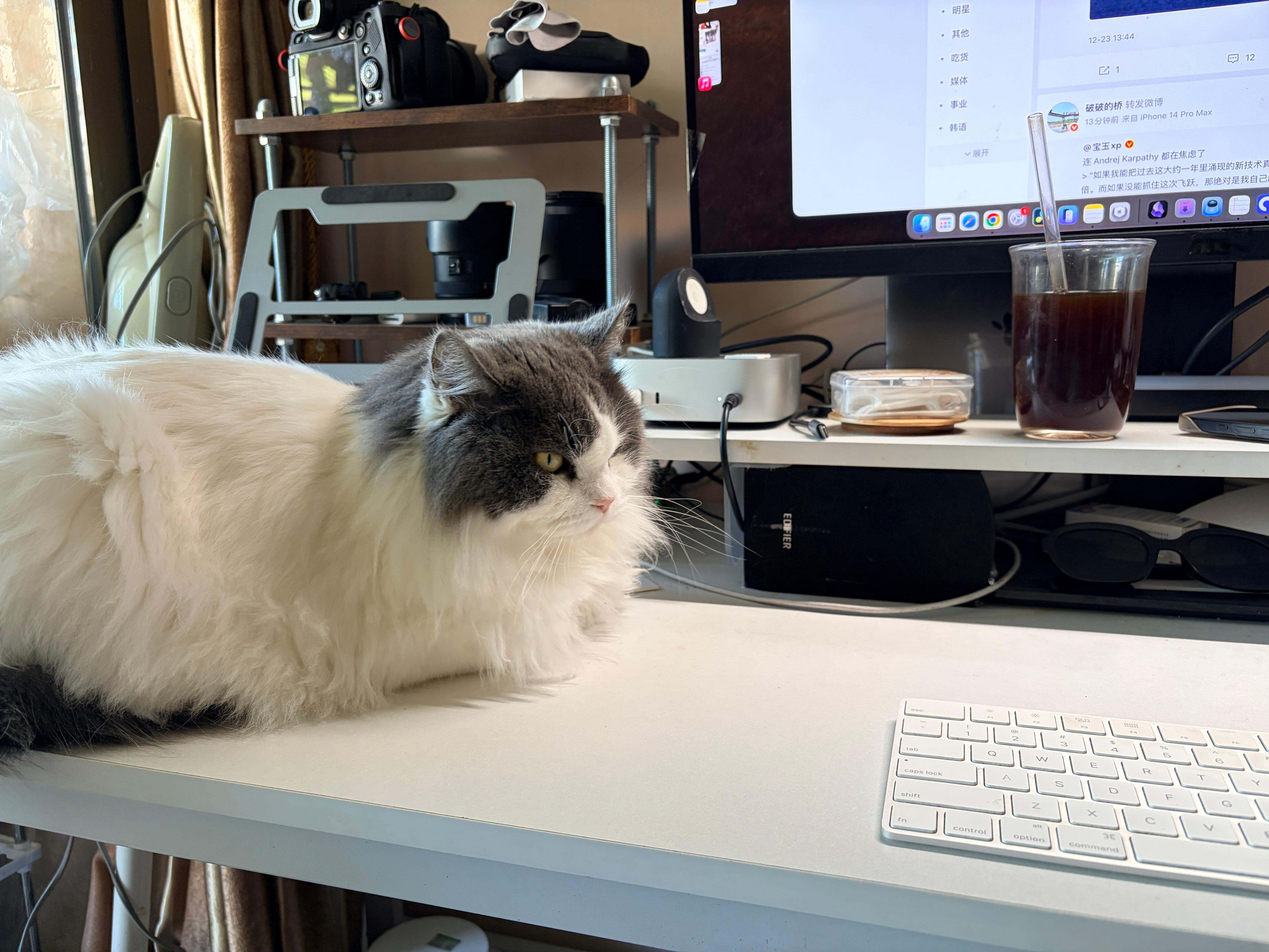 我需要 1.6 长的大桌子，主要是开局就被霸占了 50cm，所以我家桌子就 1 