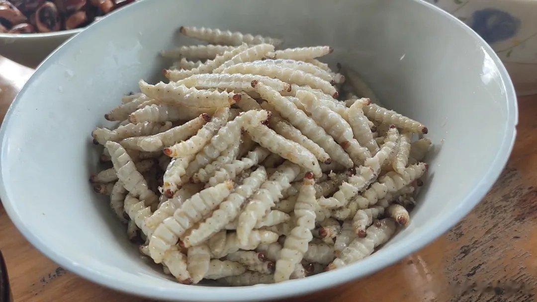 #女子吃手剥笋发现内藏竹虫#竹虫是大自然馈赠给人们的美食，油炸竹虫是常用的吃法。