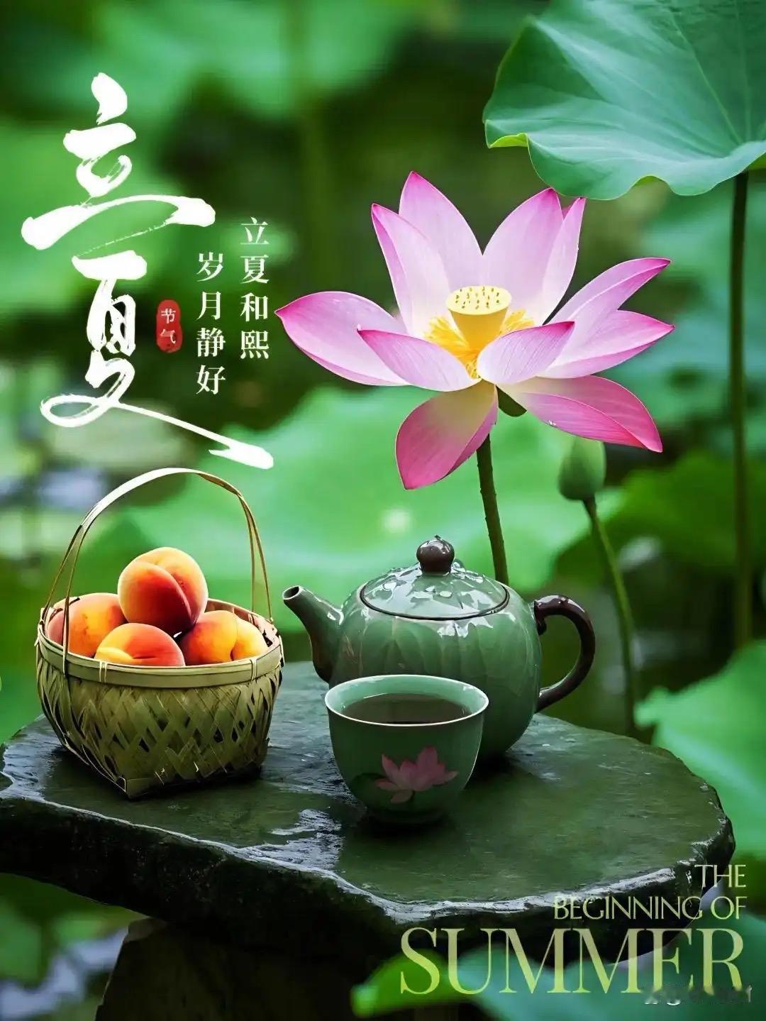 采桑子 · 丙午立夏
     
阴晴不定春归去，今雨微微。风亦微微，小蕊初芳叶
