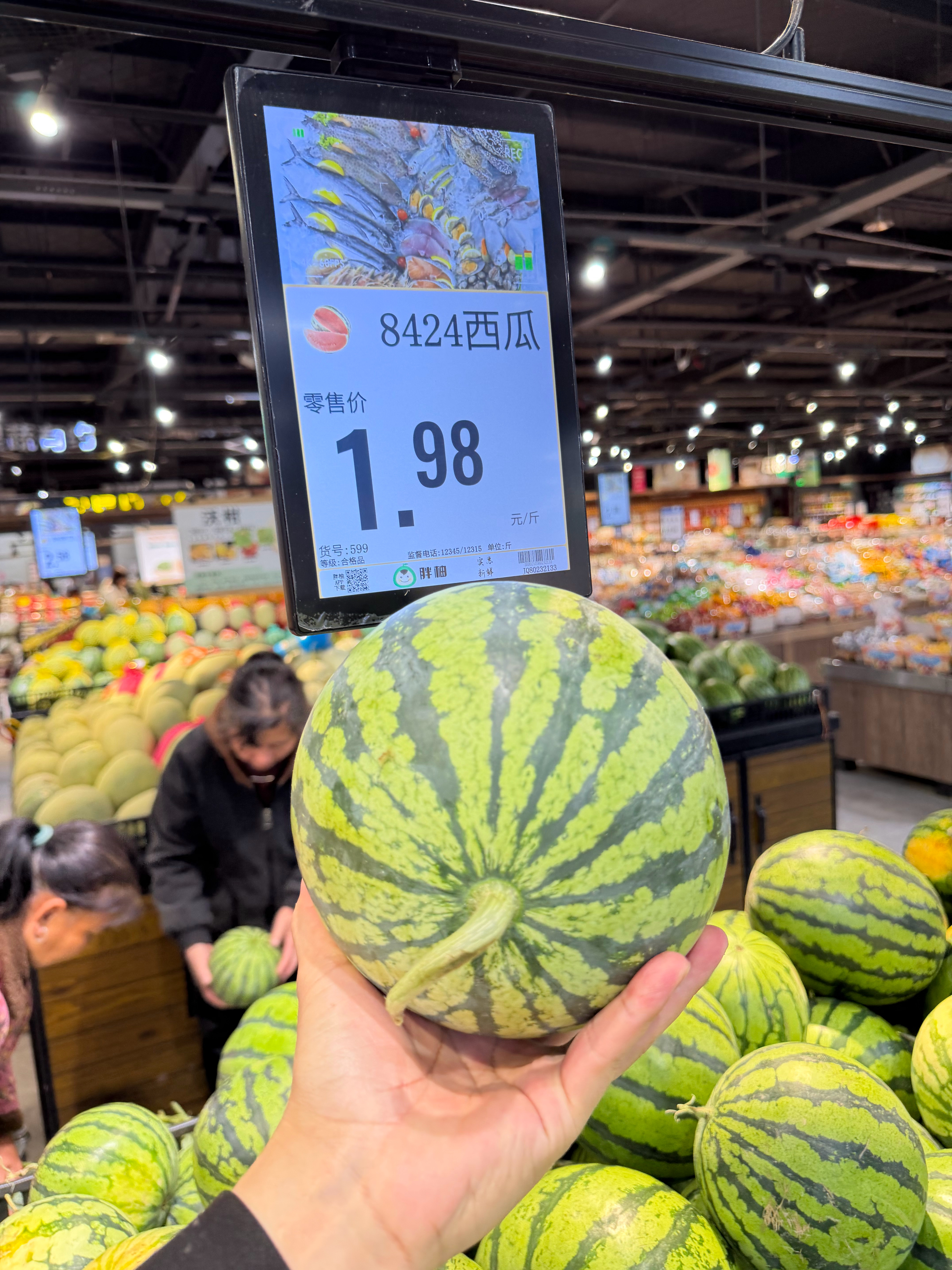 坐标河南商丘某超市，8424西瓜，1.98元1斤 