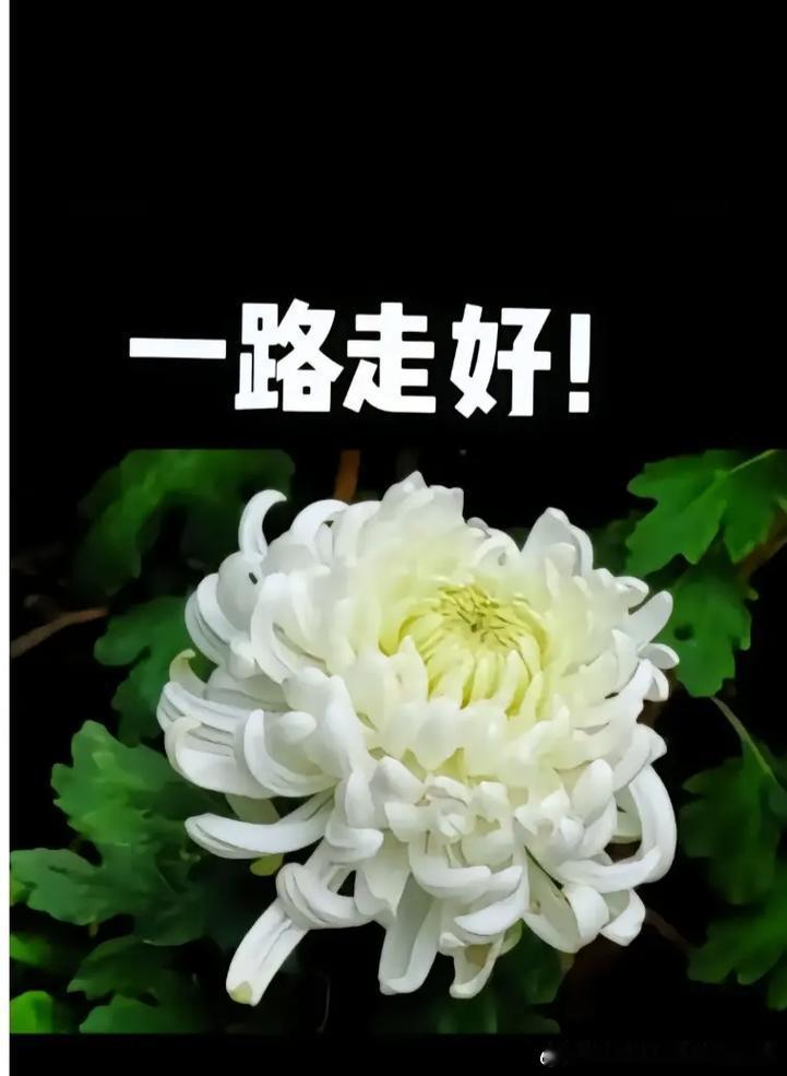 75岁钓帝黑大爷去世大爷身体力行分享了一位老钓鱼人的故事，自己愉悦的时候，也带给