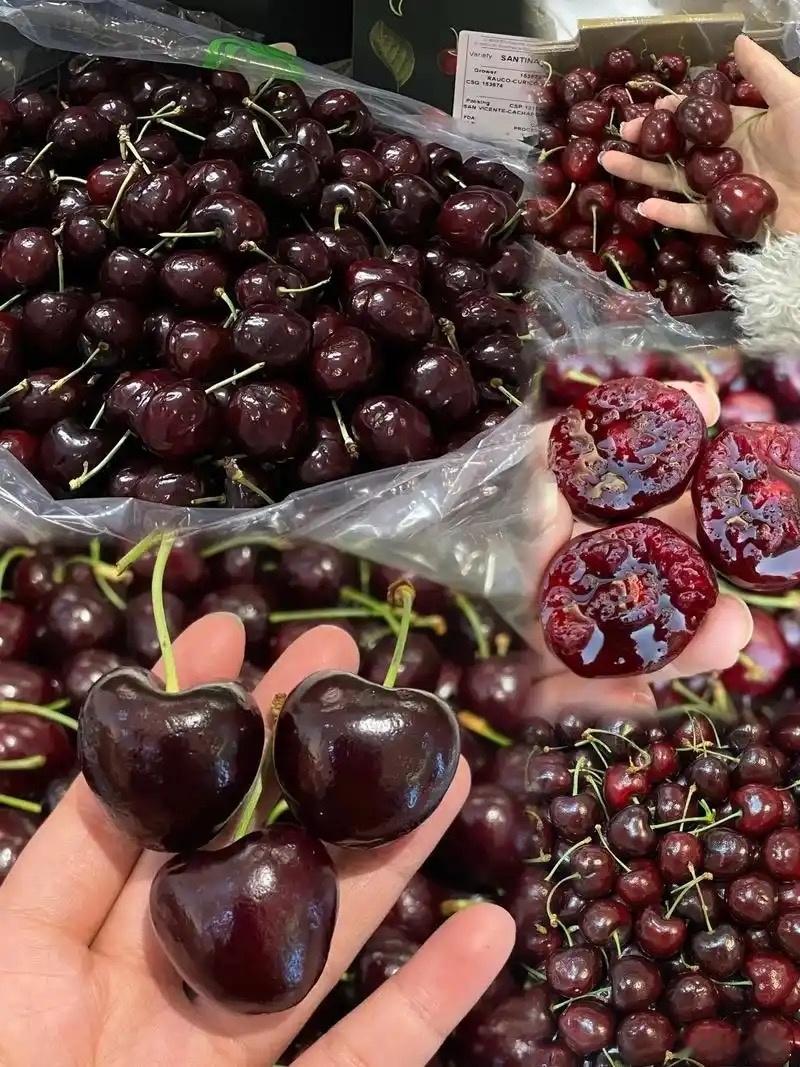 车厘子 褪黑素 惊了！原来黑车厘子竟是隐藏的健康王者，里面含有褪黑素，每晚吃两把