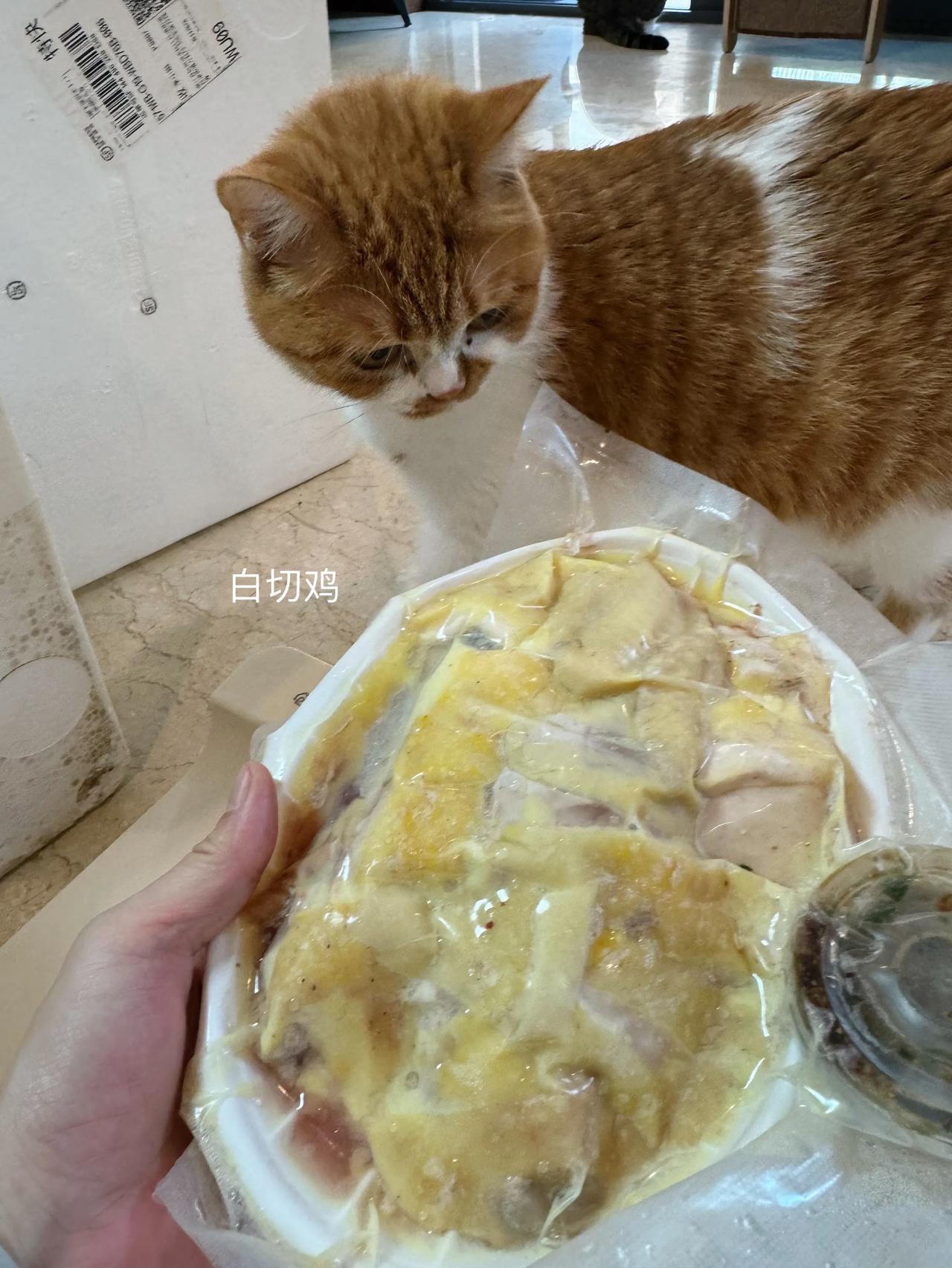 外婆寄来了一箱柳州美食，白切鸡是买好切好冻好再装泡沫箱，收到还是冻的，有口福啦！