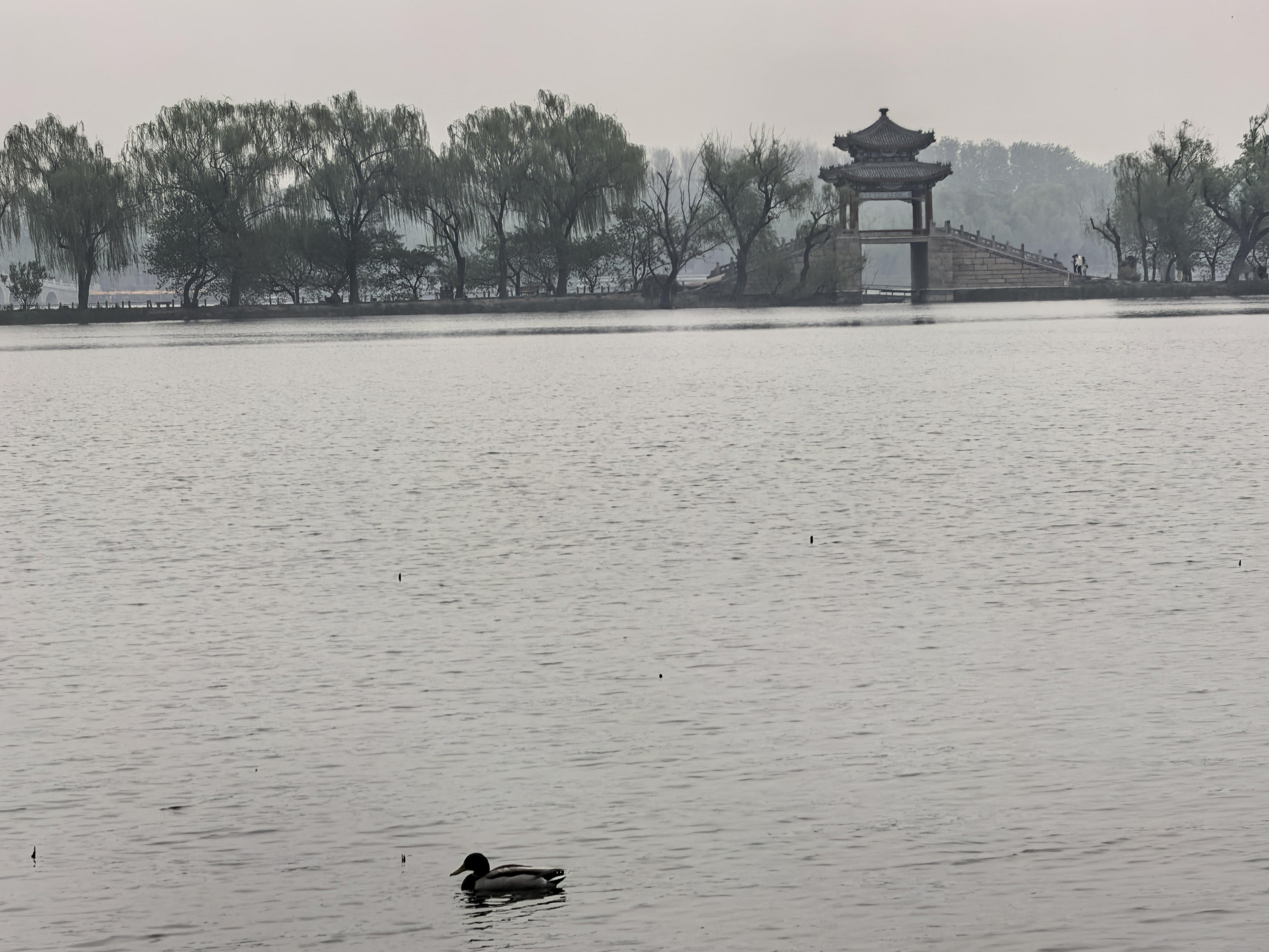 前几天住院，旁边住的是某地级市首富，我网上查了查，确实资产和行业状况都很好，个人