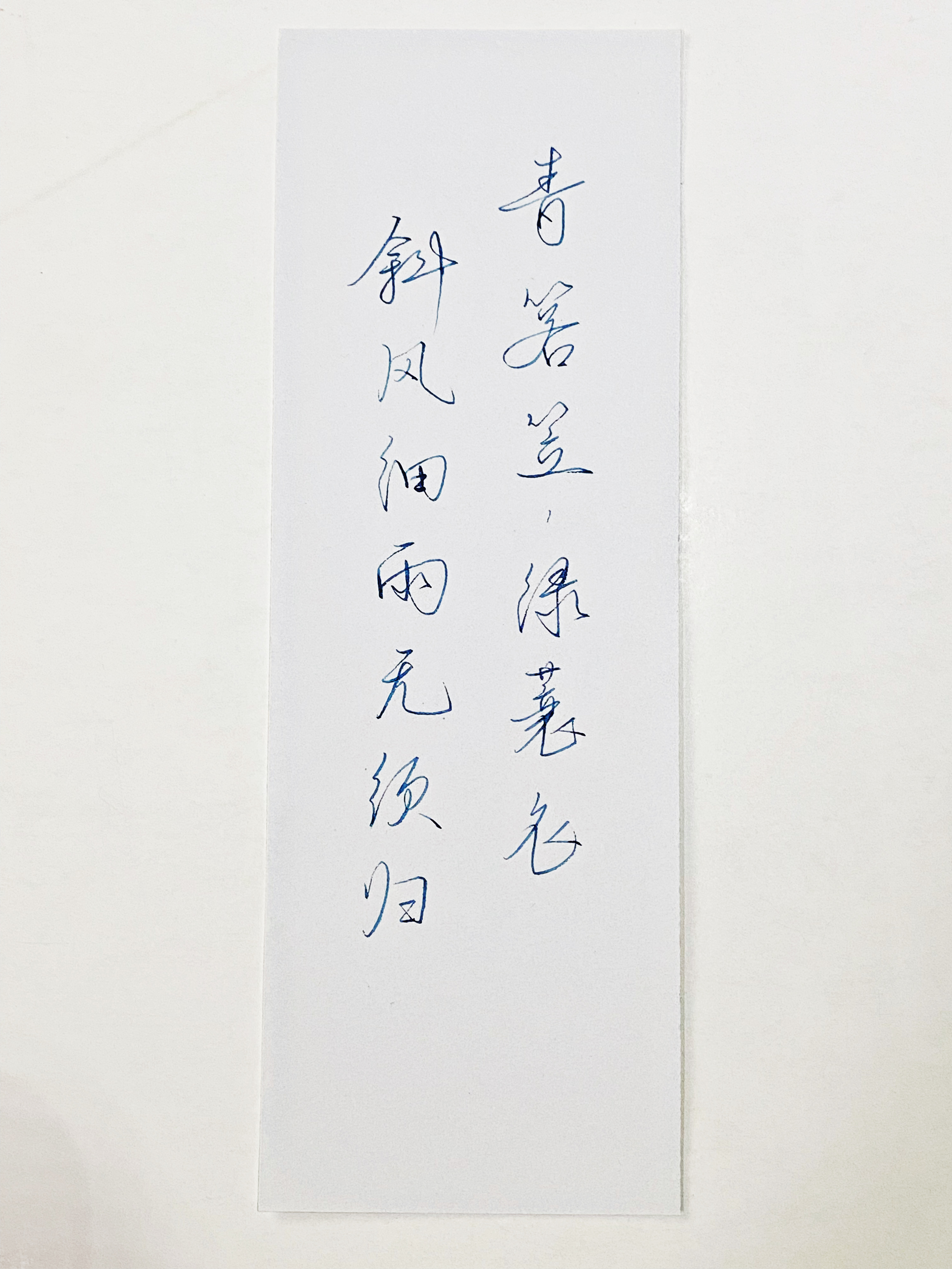 练字  斜风细雨不须归 