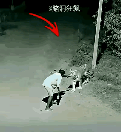 这哥们喝得云里雾里，走夜路回家没碰见鬼却碰到虎了，如果没喝酒他早就撒丫子跑了，这