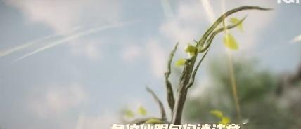 仙台有树把旅游宣传片整明白了 宣传片里的西山，古建林立，宁静又雅致，苏易水在这修