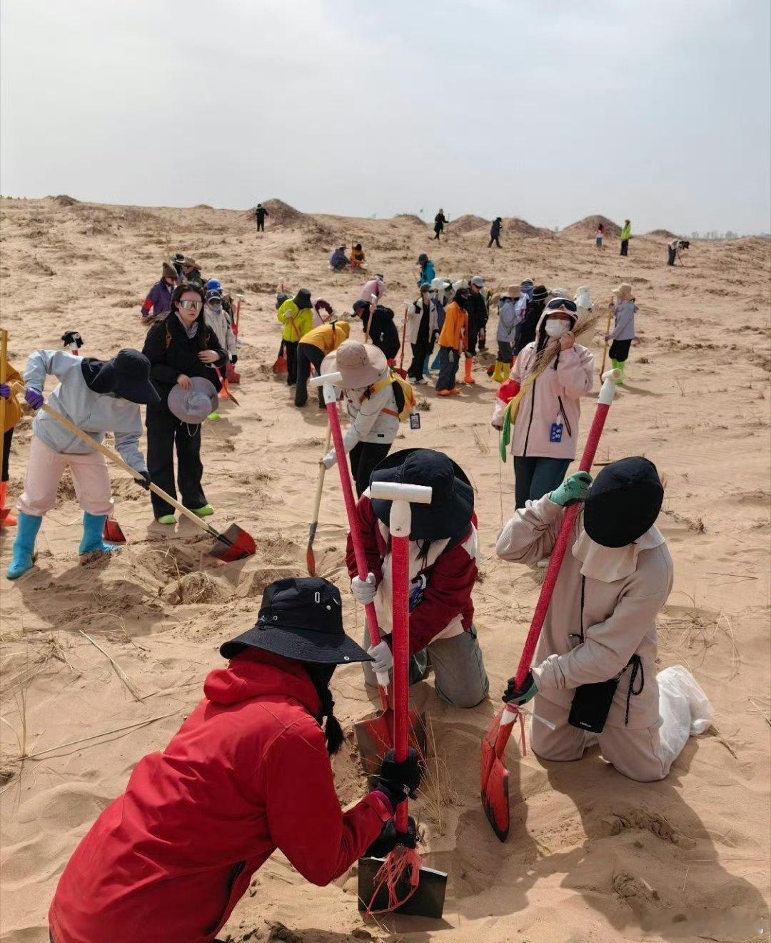 在青海塔拉滩等地的光伏电站，光伏板不仅发电，还能挡风、遮阴、减少水分蒸发，板下板