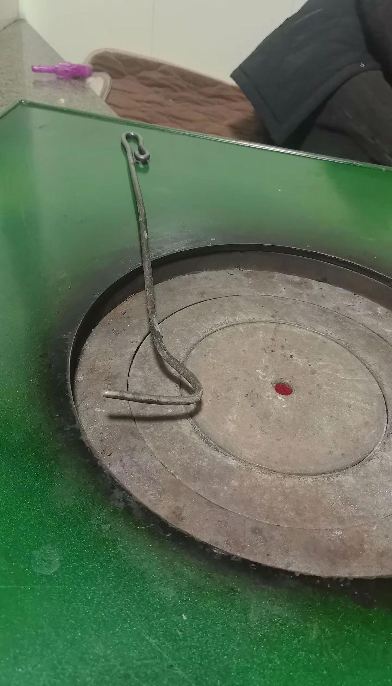 外省的天气怎么样，有春天的样子了吗，这个是我在贵州的春天，会不会冻死在这个春天里