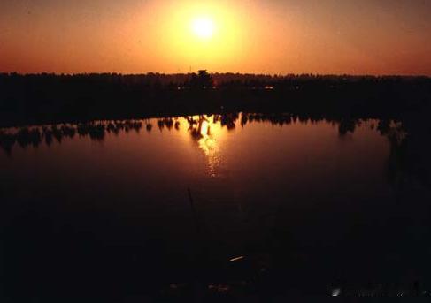 【中牟雁鸣湖】中牟雁鸣湖是人工与自然的巧合，水面面积达4000亩，景色秀丽，生态