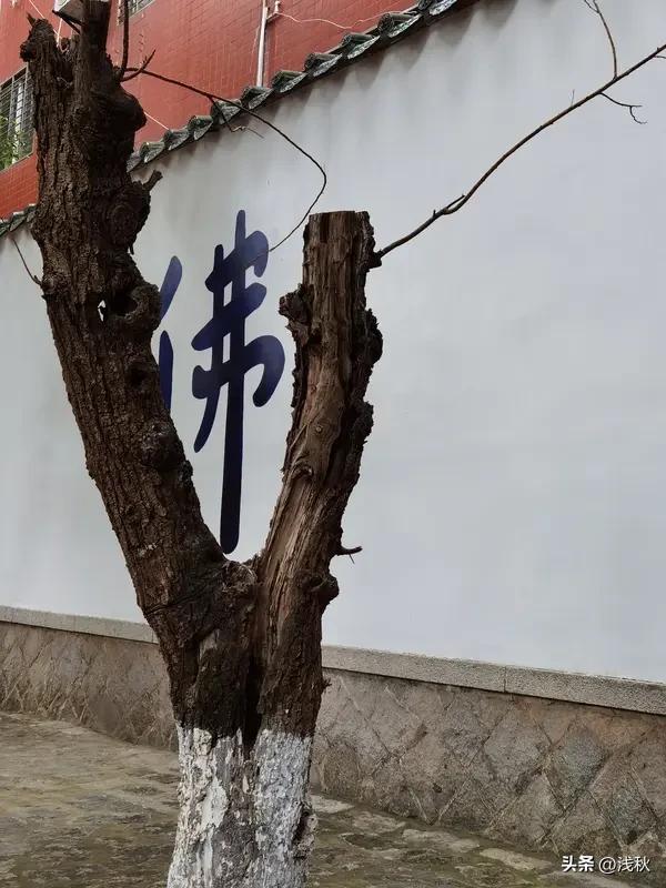 点醒靠福报，执迷是宿命！

       随便掺和别人的因果纠葛，劝人说话点到这