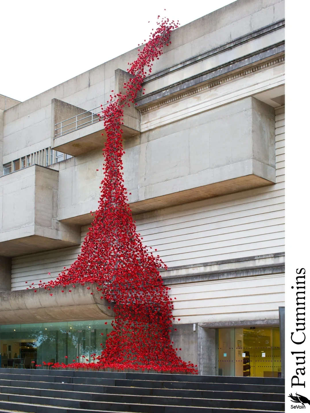 🎨艺术装置｜Paul Cummins “罂粟花海”