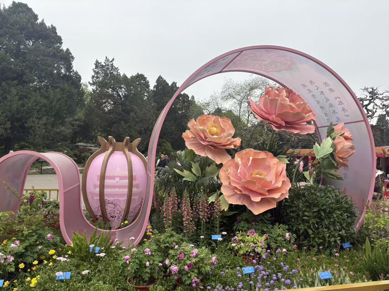 “人生本过客，得失皆随缘”，这话太有道理了。就像阿华，在公司打拼七年升职加薪，多