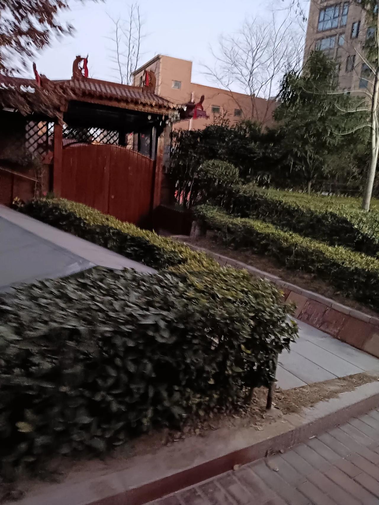 随手拍分享