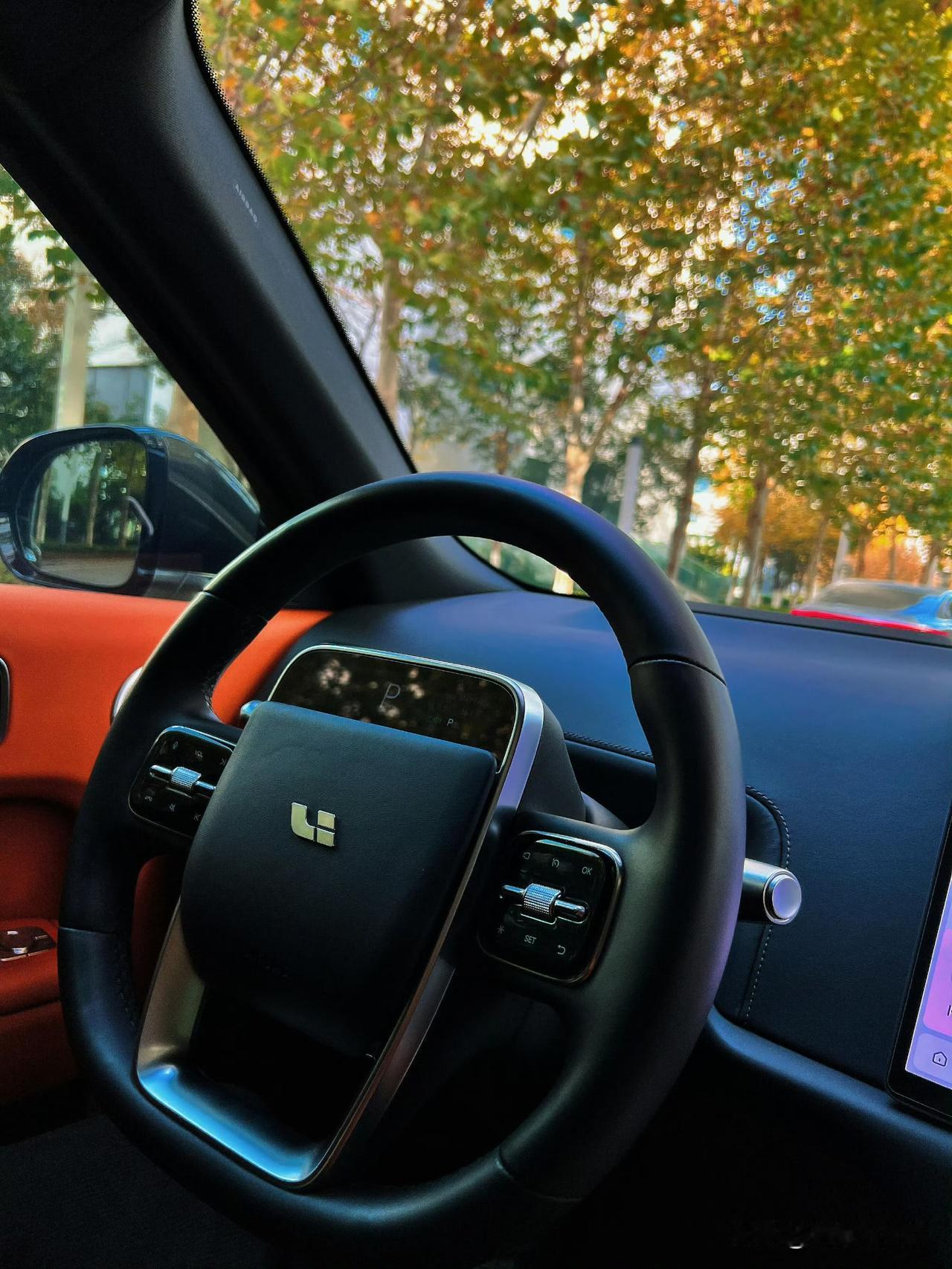 方向盘交互屏这块还是得看理想

外观上最有辨识度的当然是星环灯，而车内最顺手的就