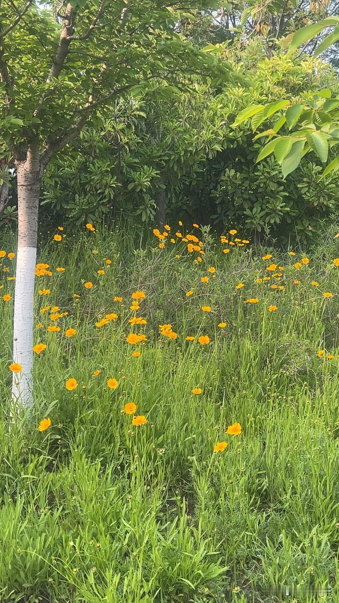 上联：冬去山明水秀，下联：请你来夏临荷艳蛙鸣