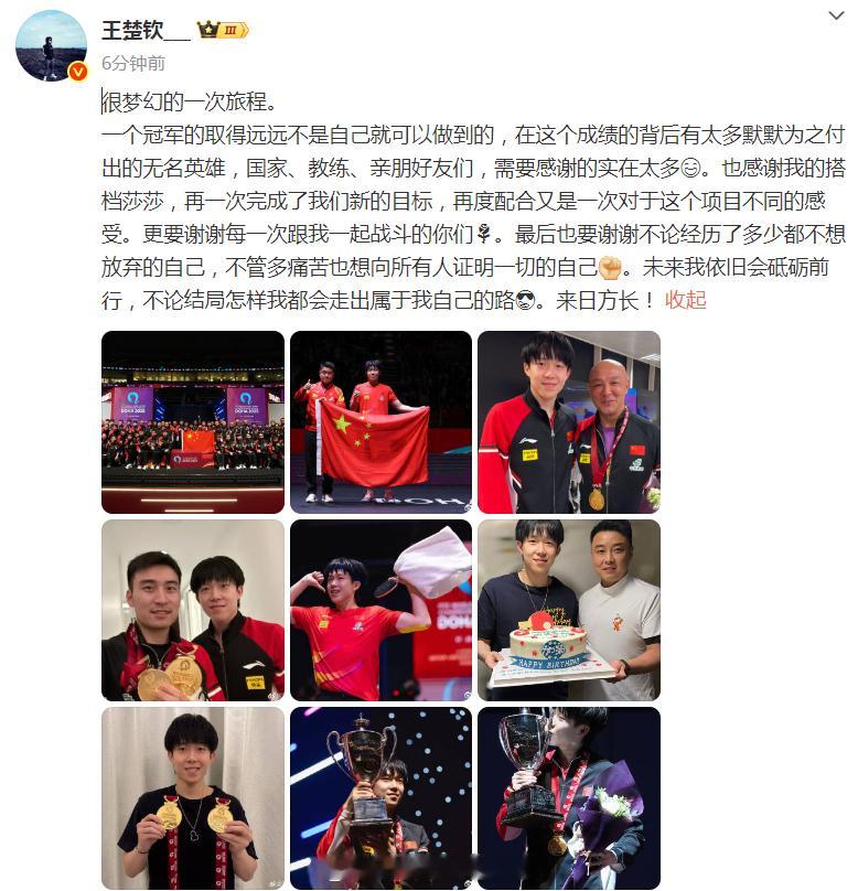 王楚钦发博总结多哈世乒赛王楚钦说需要感谢的实在太多王楚钦说会走出属于自己的路 @