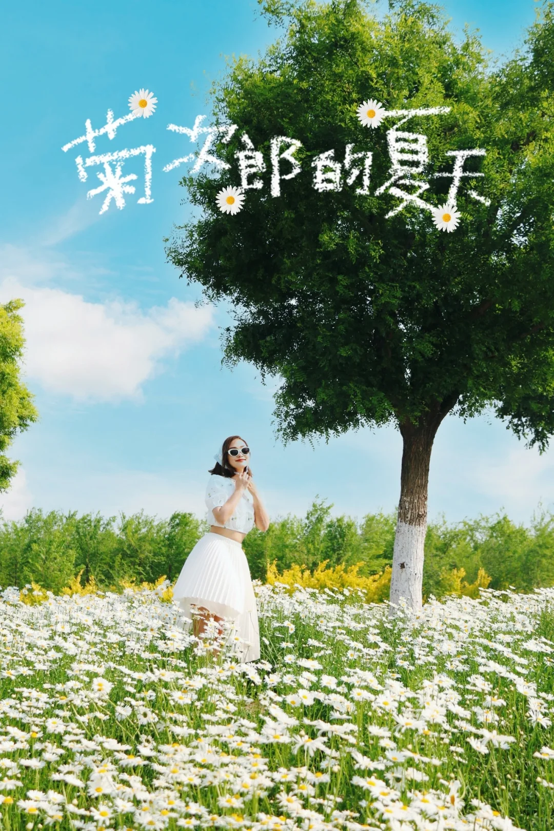 速来‼️我在这里找到了菊次郎的夏天‼️