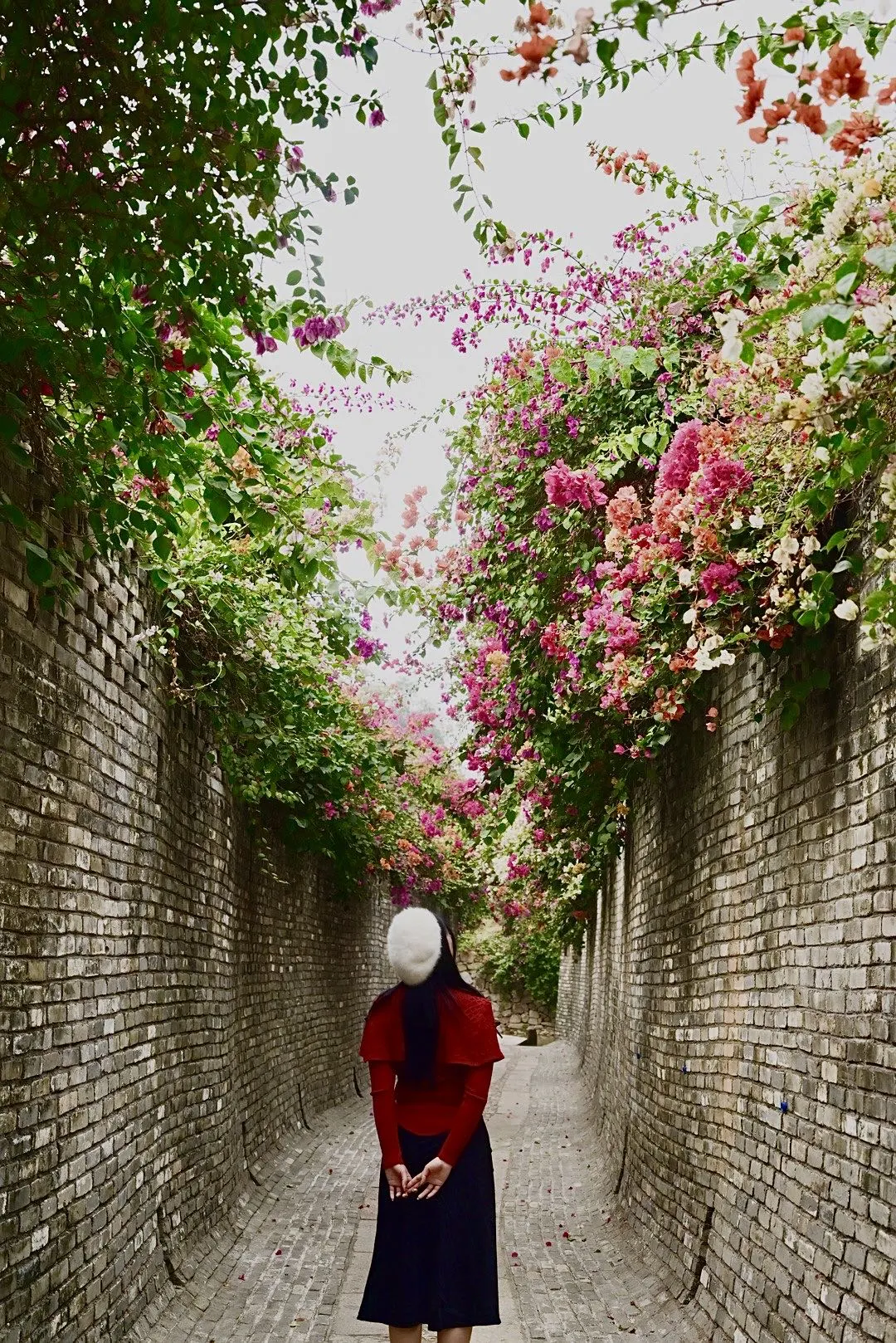 春节反向旅行！花‮马都‬岭观花植物园太值