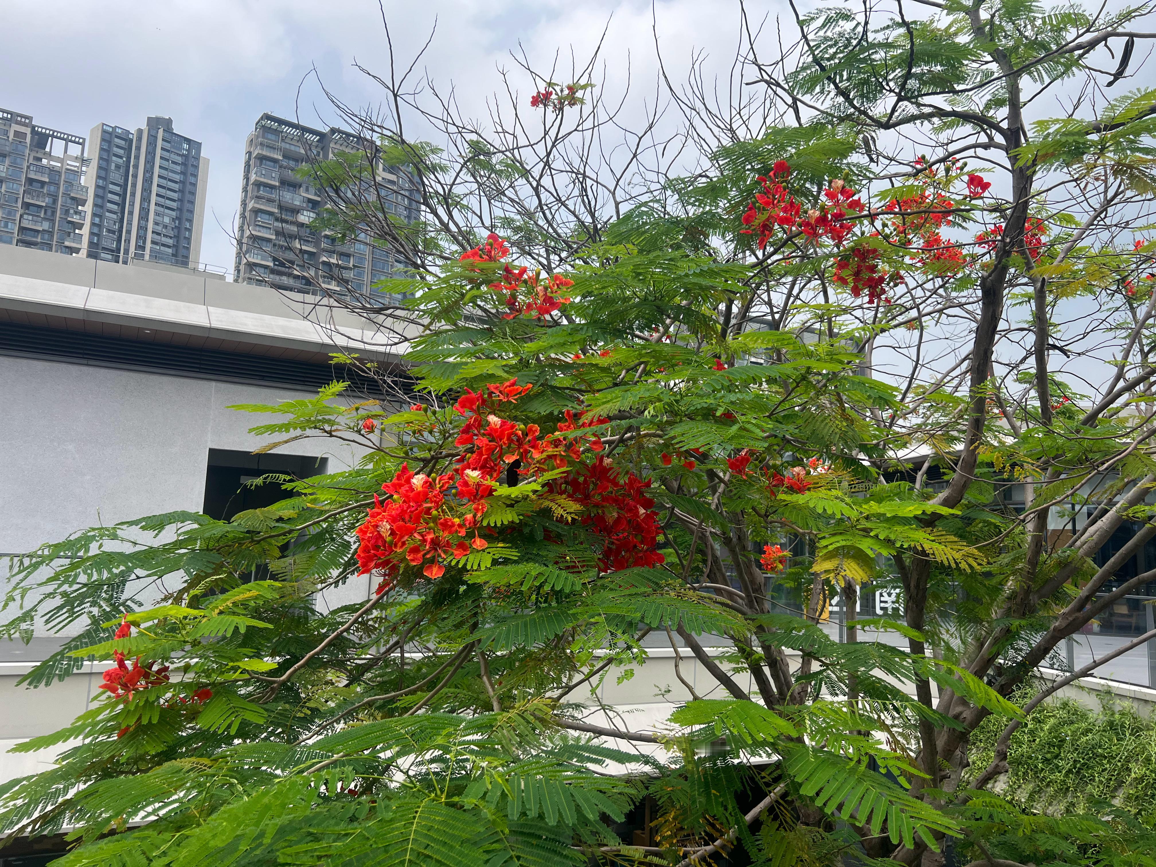 人要靠近能托举和滋养你的人，计较里生不出慈悲，争吵里养不出优雅，内耗的环境很难滋