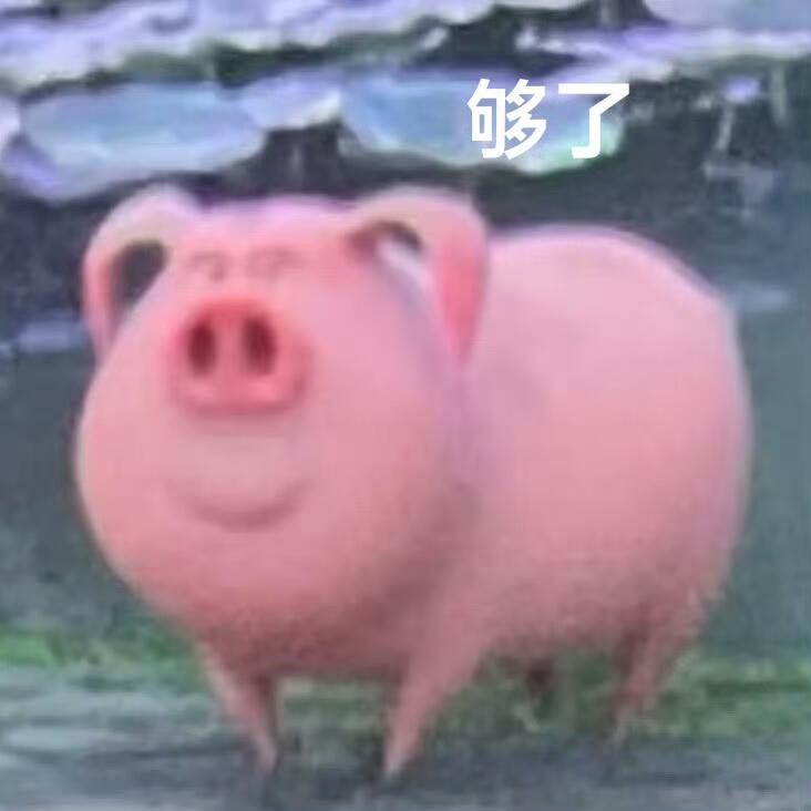 超级可爱的飞天猪表情包来咯 